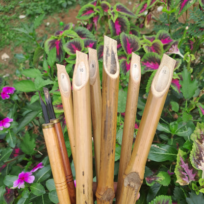 Premium Bamboo Reed Qalam Pen & Set - Handmade Arabic Calligraphy Dip Pens