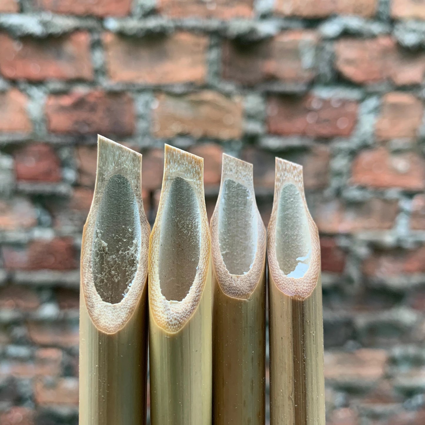 Premium Bamboo Reed Qalam Pen & Set - Handmade Arabic Calligraphy Dip Pens