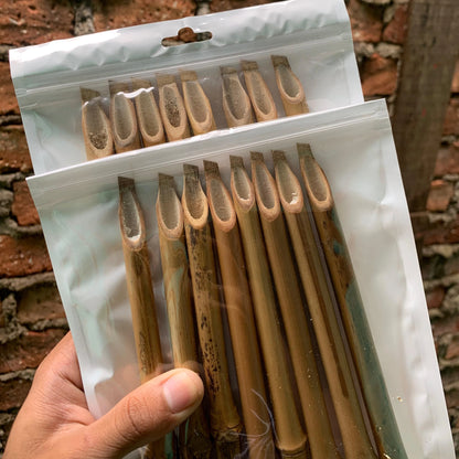 Premium Bamboo Reed Qalam Pen & Set - Handmade Arabic Calligraphy Dip Pens
